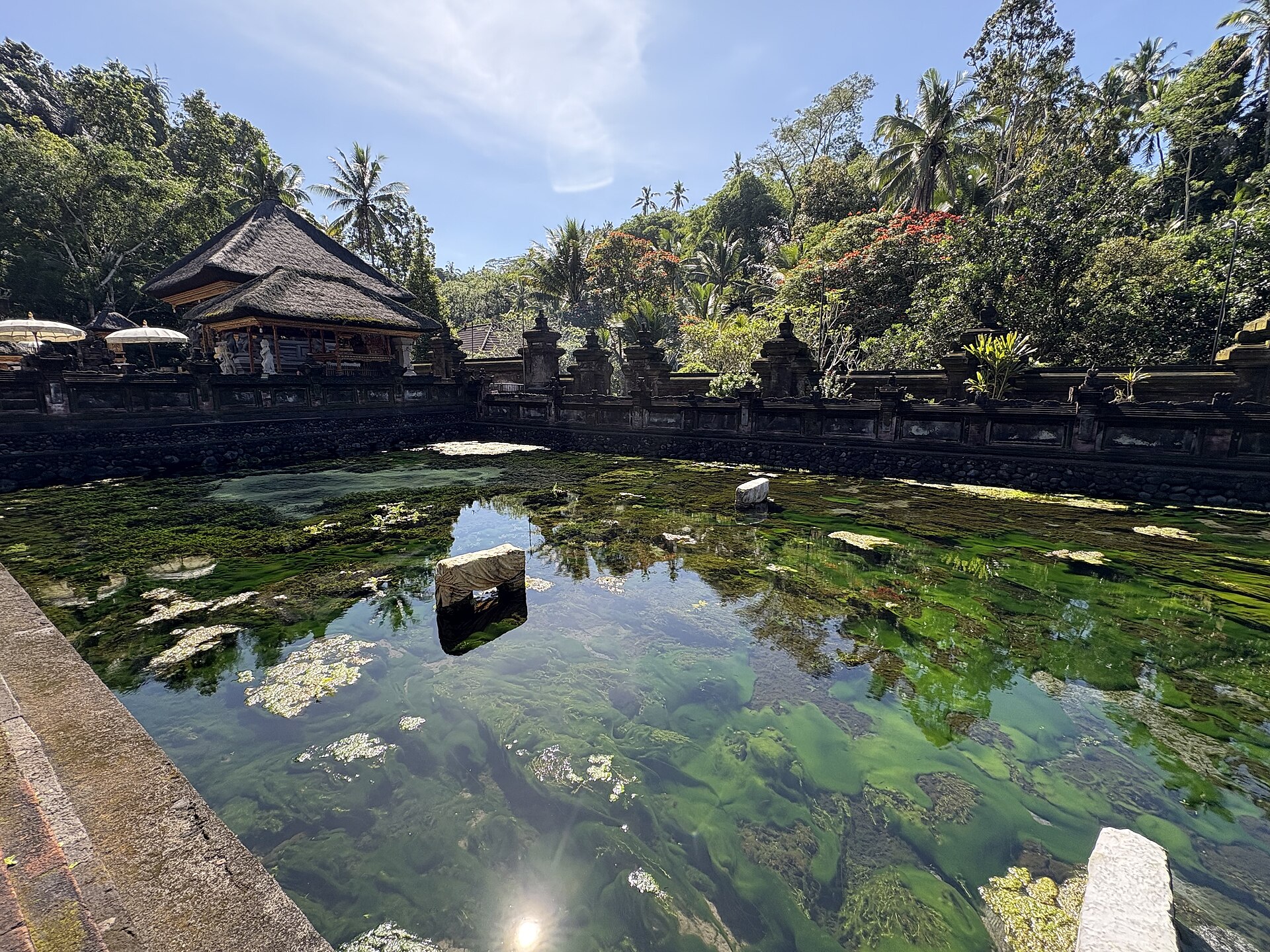 Bassäng i vattentemplet Tirta Empul
